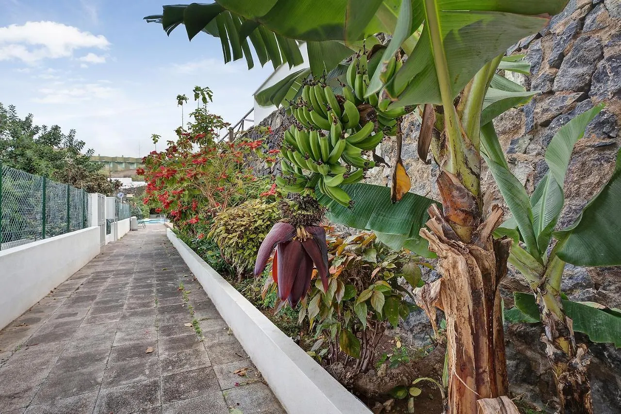 Paradise Studio Bel Air Puerto de la Cruz  Spain